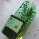 Planta / Árvore de Folha de Curry | Murraya Koenigii | Folhas de Kadi Patta Frescas-4