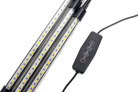 Luz LED de cultivo interna para 3 árvores com folhas de curry super felizes - 0