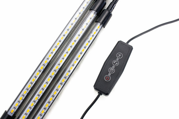Luz LED de cultivo interna para 3 árvores com folhas de curry super felizes