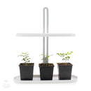 Luz LED de cultivo interna para 3 árvores com folhas de curry super felizes-1